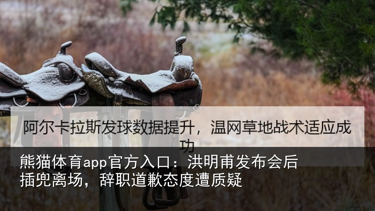 熊猫体育app官方入口：洪明相关情况场辞相关情况