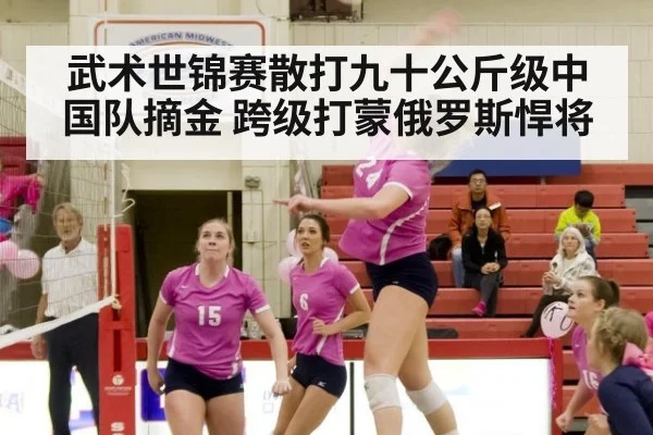 武术世锦赛散打九十公斤级中国队摘金 跨级打蒙俄罗斯悍将